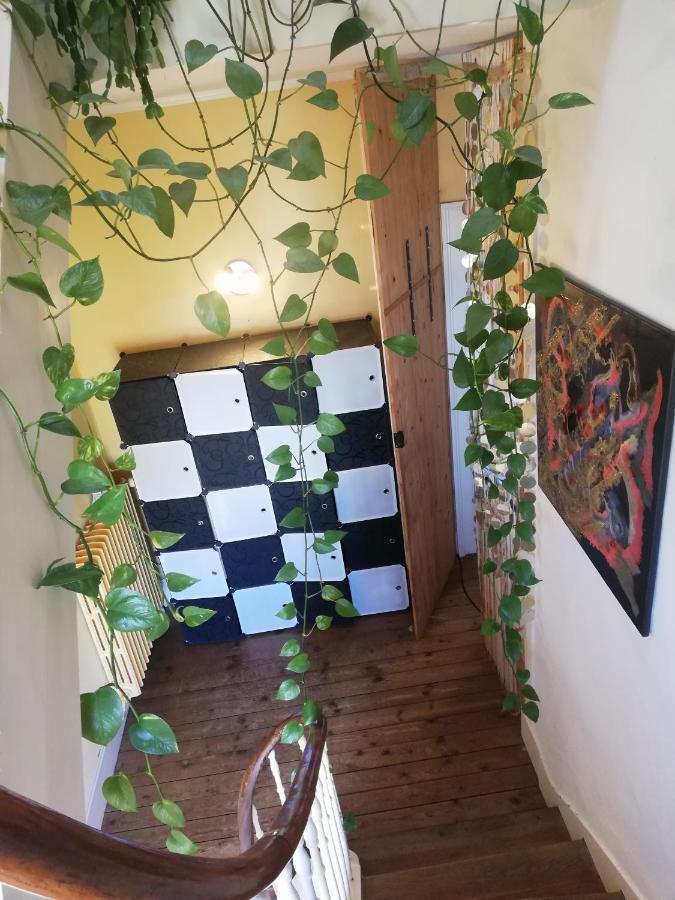 La Chambre D'Hote De Chris シェルブール・アン・コタンタン エクステリア 写真